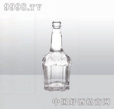 SL-G-010߰ײƿ500ml