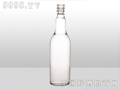 ZH-002ƿ500ml-еװϢ