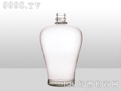 ZH-005ƿ500ml-еװϢ