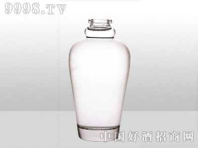 ZH-007ƿ500ml-еװϢ