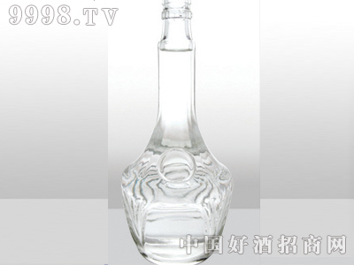 ZH-027ƿ500ml-еװϢ