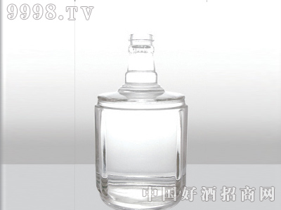 ZH-055ƿ500ml-еװϢ