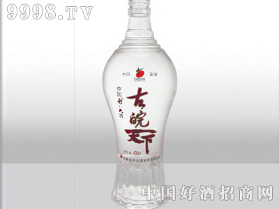 ZH-051ƿ500ml-еװϢ