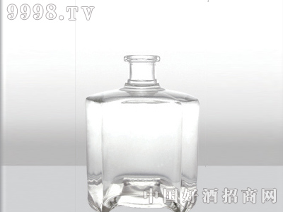 ZH-063ƿ500ml-еװϢ