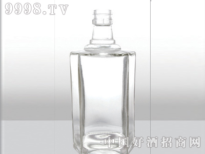 ZH-065ƿ500ml-еװϢ