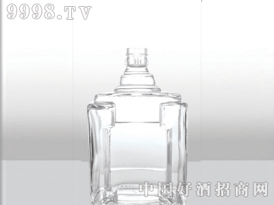 ZH-069ƿ500ml-еװϢ