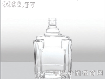 ZH-070ƿ500ml-еװϢ