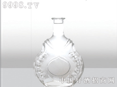 ZH-079ƿ500ml-еװϢ