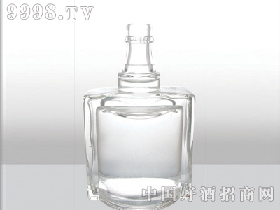 ZH-087ƿ500ml-еװϢ