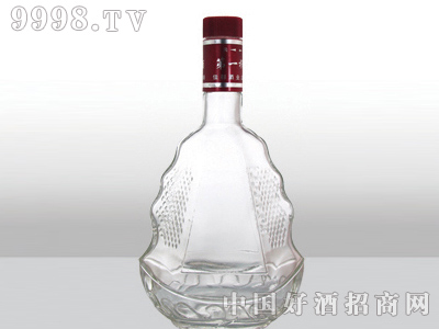 ZH-094ƿ500ml-еװϢ