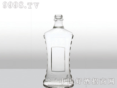 ZH-107ƿ500ml-еװϢ