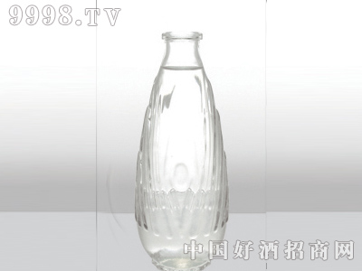 ZH-111ƿ500ml-еװϢ