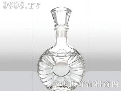 ZH-113ƿ500ml-еװϢ