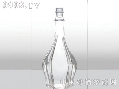 ZH-123ƿ500ml-еװϢ