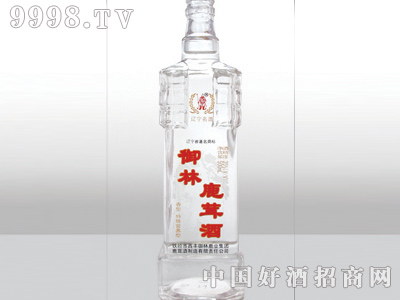 ZH-129ƿ500ml-еװϢ