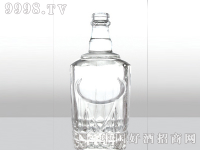 ZH-138ƿ500ml-еװϢ