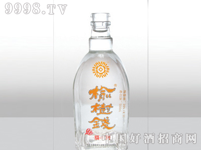 ZH-141ƿ500ml-еװϢ