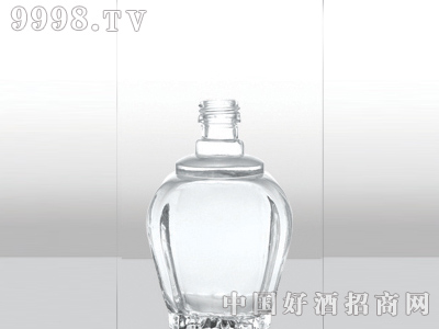 ZH-171ƿ500ml-еװϢ