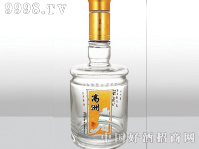 ZH-172ƿ500ml