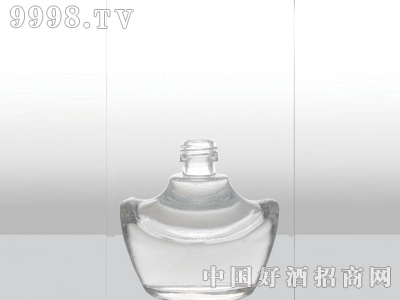 ZH-173ƿ500ml