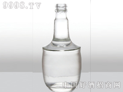 ZH-179ƿ500ml-еװϢ