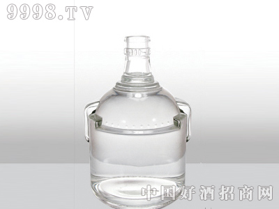 ZH-222ƿ500ml-еװϢ