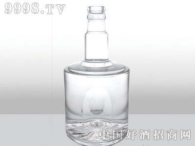 ZH-223ƿ500ml-еװϢ