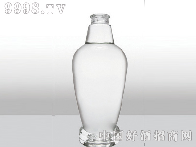 ZH-192ƿ500ml-еװϢ