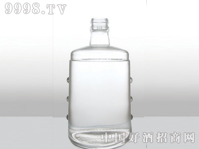 ZH-202ƿ500ml-еװϢ