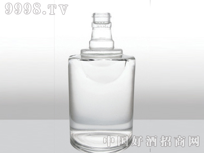 ZH-206ƿ500ml-еװϢ