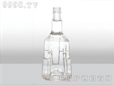 ZH-269ƿ500ml-еװϢ