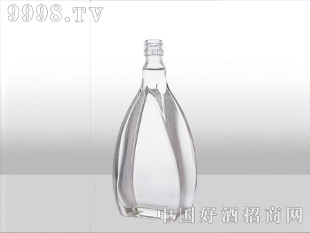 ZH-289ƿ500ml-еװϢ