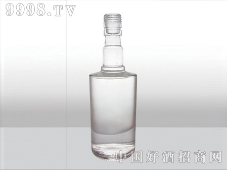 ZH-294ƿ500ml-еװϢ