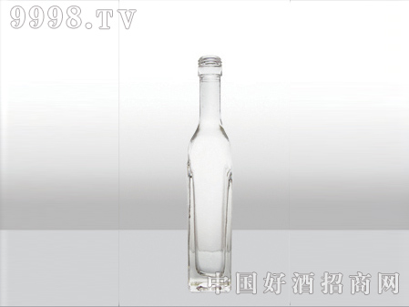 ZH-297ƿ500ml-еװϢ