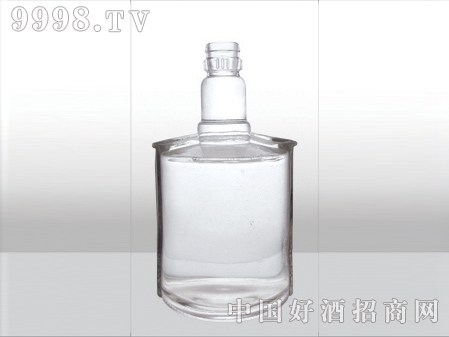 ZH-300ƿ500ml-еװϢ