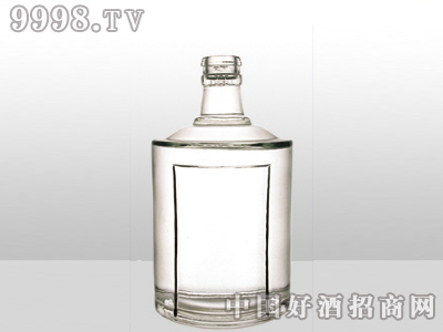 ZH-358ƿ500ml-еװϢ