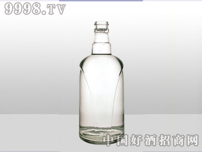 ZH-365ƿ500ml-еװϢ