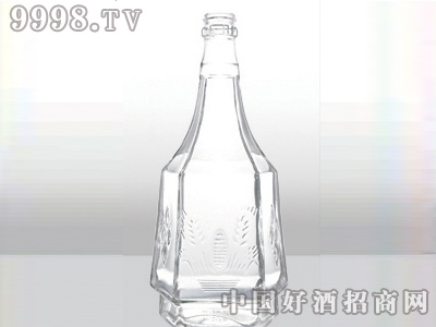 ZH-370ƿ500ml-еװϢ