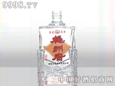 ZH-376ƿ500ml-еװϢ