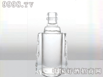 ZH-379ƿ500ml-еװϢ