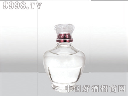 ZH-440ƿ500ml-еװϢ