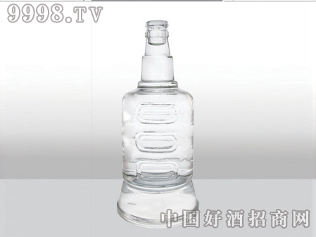 ZH-454ƿ500ml-еװϢ