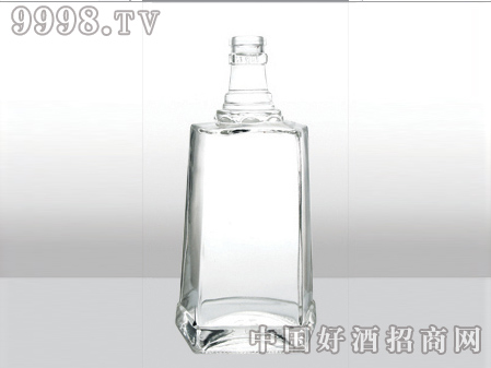 ZH-459ƿ500ml-еװϢ