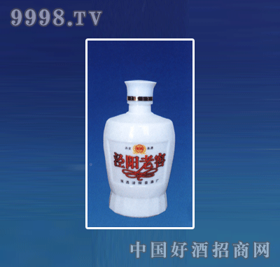 ZH-R076ƿϵ500ml-еװϢ