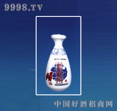 ZH-R071ƿϵ500ml