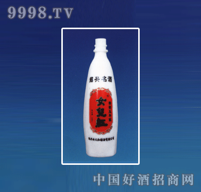 ZH-R069ƿϵ500ml-еװϢ