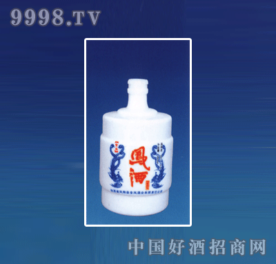 ZH-R064ƿϵ500ml