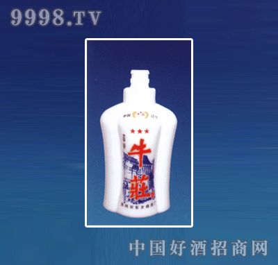 ZH-R030ƿϵ500ml