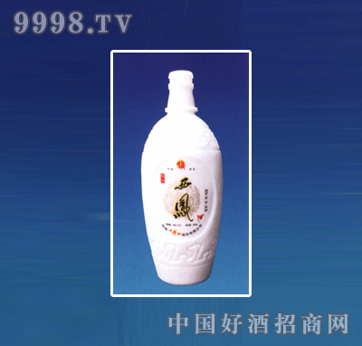 ZH-R018ƿϵ500ml-еװϢ