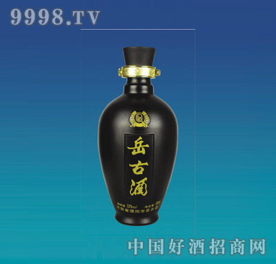 ZH-P087Ϳƿ500ml